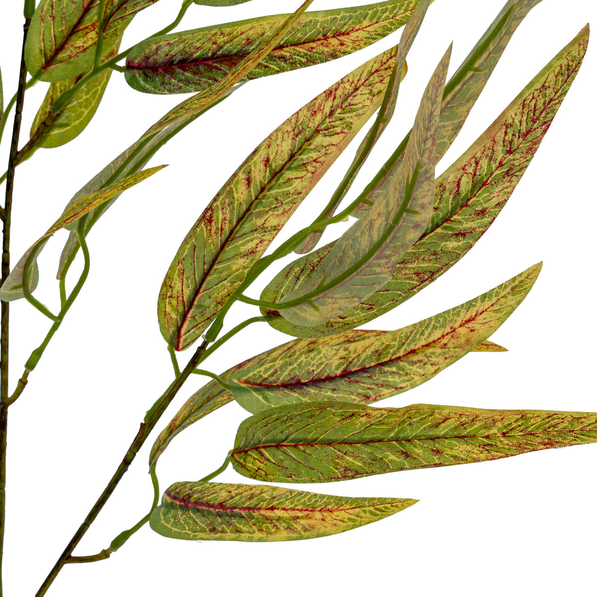 Variegated Long Leaf Eucalyptus Spray