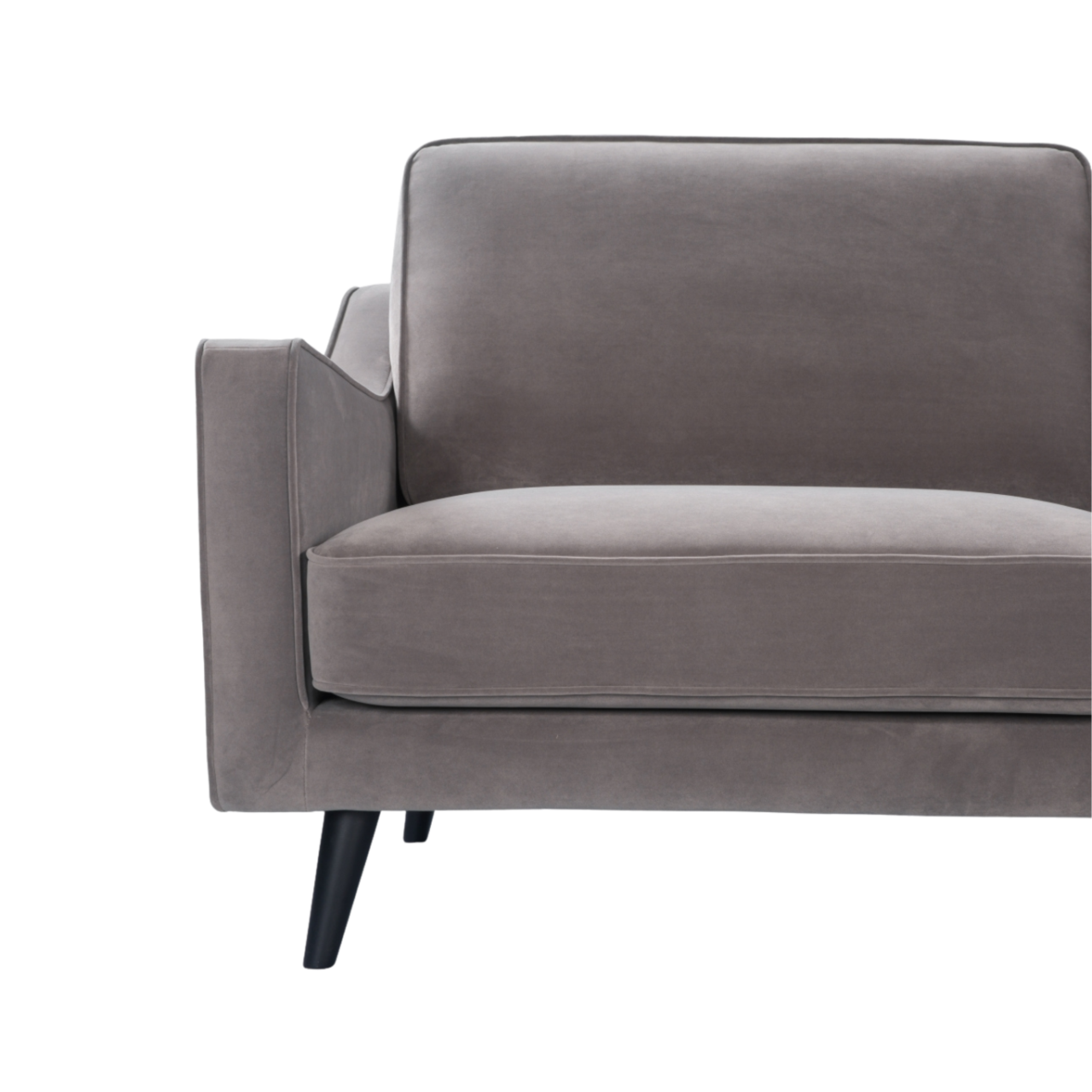 Daffy 2 Seat Sofa | Mink Velvet